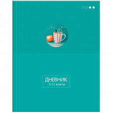 Дневник 5-11 кл. 48л. (твердый) 
