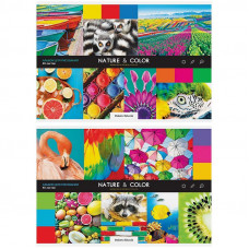 Альбом для рисования 40л., А4, на скрепке ArtSpace 