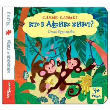 Книжка-игрушка 